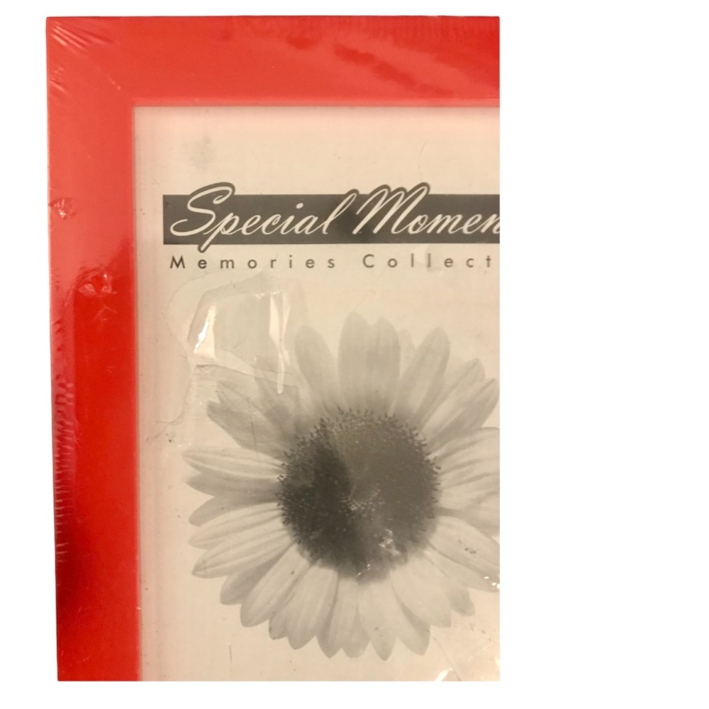 Picture Frame - Picture 2 of 5